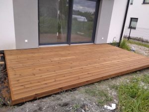 thermo sosna DS0SG ryf., Opole